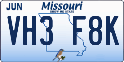 MO license plate VH3F8K