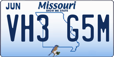 MO license plate VH3G5M