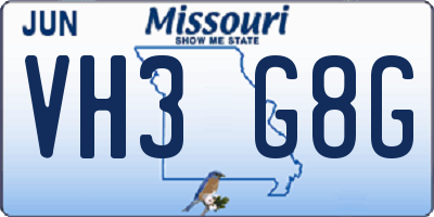 MO license plate VH3G8G