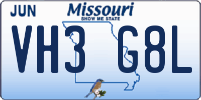 MO license plate VH3G8L