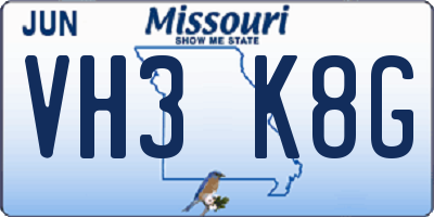 MO license plate VH3K8G