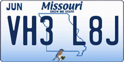 MO license plate VH3L8J