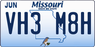 MO license plate VH3M8H