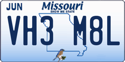 MO license plate VH3M8L
