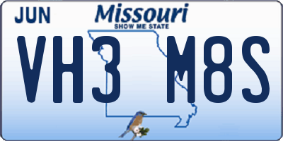 MO license plate VH3M8S