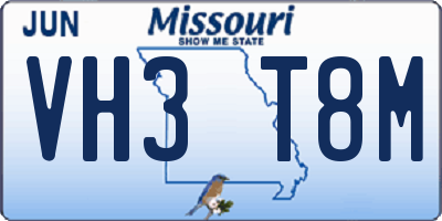 MO license plate VH3T8M