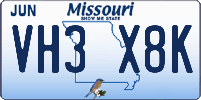MO license plate VH3X8K