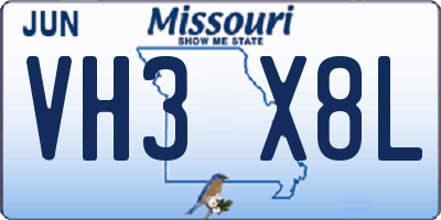 MO license plate VH3X8L