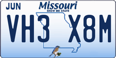 MO license plate VH3X8M