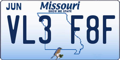 MO license plate VL3F8F