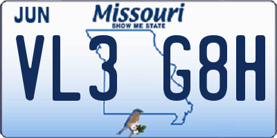 MO license plate VL3G8H