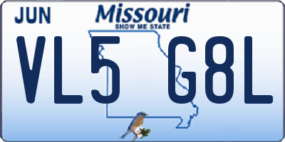 MO license plate VL5G8L