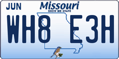 MO license plate WH8E3H