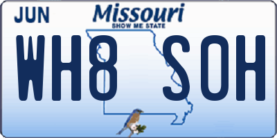 MO license plate WH8S0H