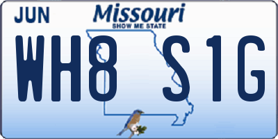 MO license plate WH8S1G