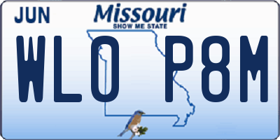 MO license plate WL0P8M