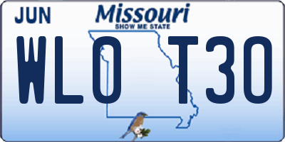 MO license plate WL0T3O