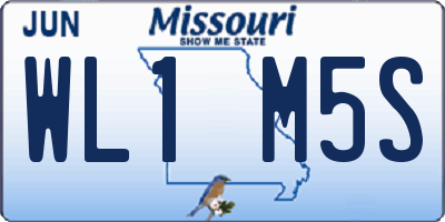 MO license plate WL1M5S