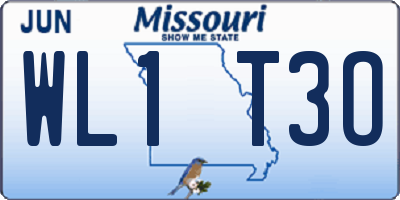 MO license plate WL1T3O