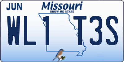 MO license plate WL1T3S