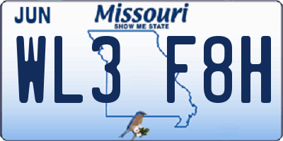 MO license plate WL3F8H