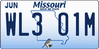 MO license plate WL3O1M