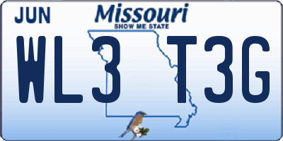 MO license plate WL3T3G