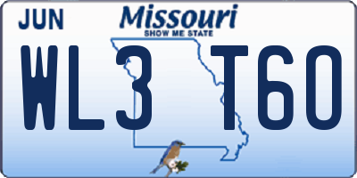 MO license plate WL3T6O