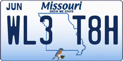 MO license plate WL3T8H