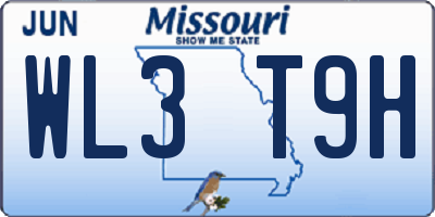 MO license plate WL3T9H