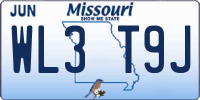 MO license plate WL3T9J