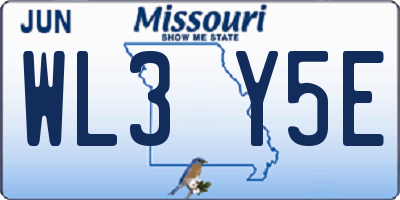 MO license plate WL3Y5E