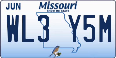 MO license plate WL3Y5M