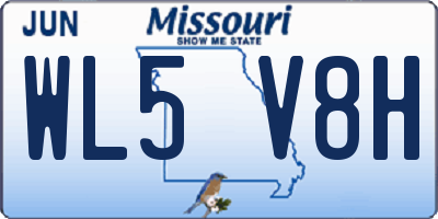 MO license plate WL5V8H