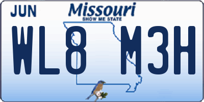 MO license plate WL8M3H