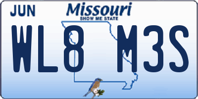 MO license plate WL8M3S