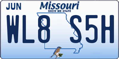 MO license plate WL8S5H