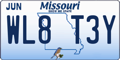 MO license plate WL8T3Y