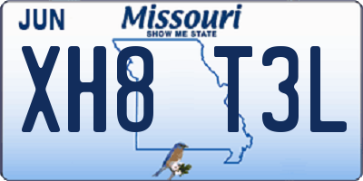 MO license plate XH8T3L
