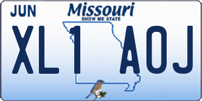 MO license plate XL1A0J