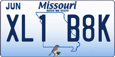 MO license plate XL1B8K