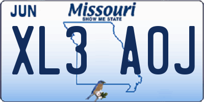 MO license plate XL3A0J