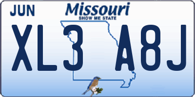 MO license plate XL3A8J