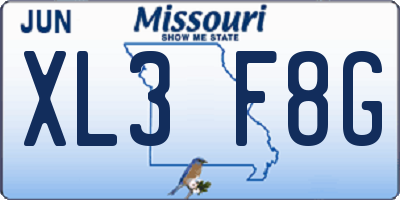MO license plate XL3F8G