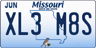 MO license plate XL3M8S