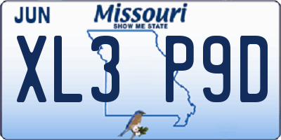 MO license plate XL3P9D