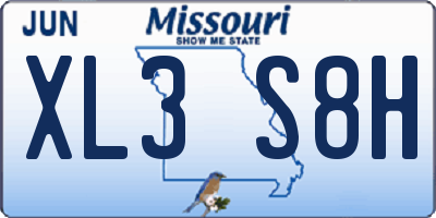 MO license plate XL3S8H