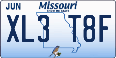 MO license plate XL3T8F
