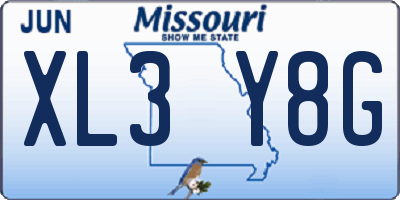 MO license plate XL3Y8G