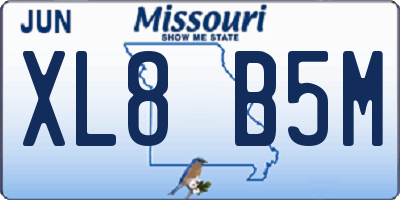 MO license plate XL8B5M